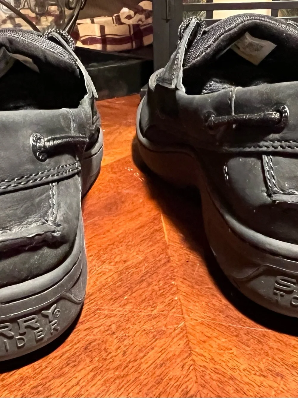Sperry men billfish